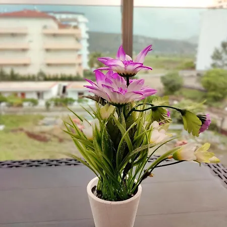 Apartamento Saeri Stylish